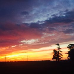 MVP Luxury Transport - Martha's Vineyard Sunset