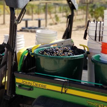 Casa Abril Vineyards & Winery - Fruit, literally of our labor - Wineries Near Me - Algodones, New Mexico Casa Abril Vineyards & Winery - Fruit, literally of our labor - Wineries Near Me - Algodones, New Mexico