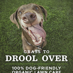 Clean Air Lawn Care