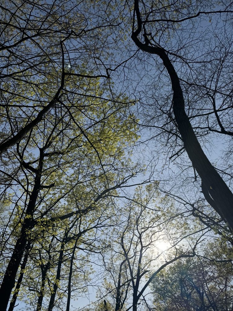 Social spots from High Rock Park