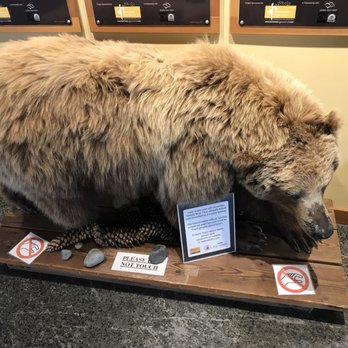 Visitor Information - Visitor Centers Near Me - Squamish, British Columbia