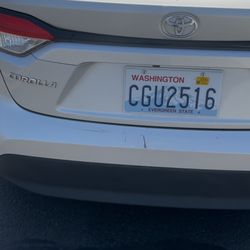 Avis Rent A Car
