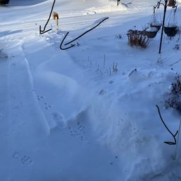 This is the driveway one of the times. the arrows show the stakes. This is the driveway one of the times. the arrows show the stakes.