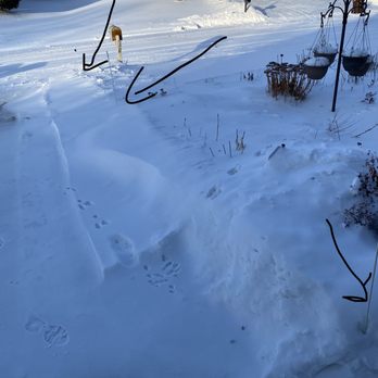Andrew's Lawn and Snow - This is the driveway one of the times. the arrows show the stakes. - Snow Removal Near Me - Oak Brook, Illinois Andrew's Lawn and Snow - This is the driveway one of the times. the arrows show the stakes. - Snow Removal Near Me - Oak Brook, Illinois