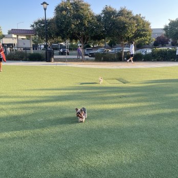 Central Park Dog Park - Dog Parks Near Me - Fremont, California Central Park Dog Park - Dog Parks Near Me - Fremont, California