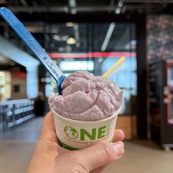 Happy Cones - Honey Lavender