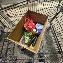 ALDI - No bag? No problem. They have free boxes.
