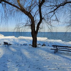 Rattray Marsh