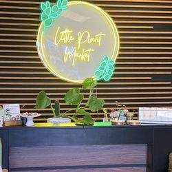 Little Plant Market