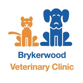Brykerwood Veterinary Clinic - Veterinarians Near Me - Austin, Texas Brykerwood Veterinary Clinic - Veterinarians Near Me - Austin, Texas