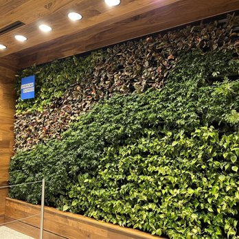 The Centurion Lounge - Entrance - Airport Lounges Near Me - Las Vegas, Nevada The Centurion Lounge - Entrance - Airport Lounges Near Me - Las Vegas, Nevada