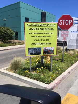 BLUE LINE TRANSFER - Updated March 2025 - 27 Photos & 46 Reviews - 500