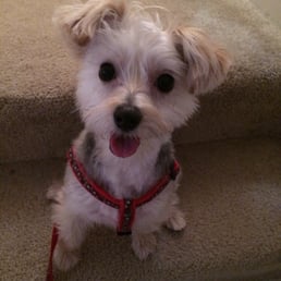 This is how she looked after her haircut. This is how she looked after her haircut.