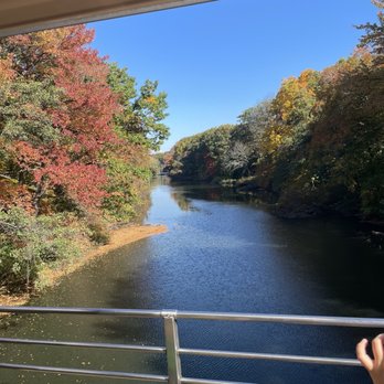 Bronx Zoo - Bronx River view from the zoo monorail - Zoos Near Me - Bronx, New York