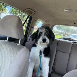 Preppy Pet West Houston