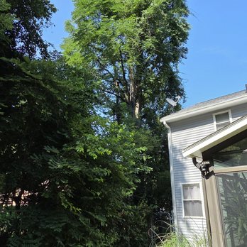 Grimshaw Tree Service and Nursery - Tree Services Near Me Grimshaw Tree Service and Nursery - Tree Services Near Me