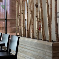 Genki Sushi & Grill - Nature