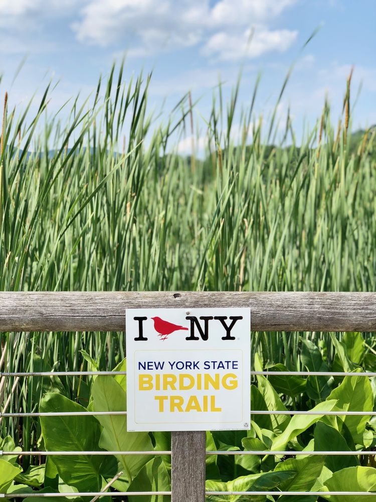 Social spots from Constitution Marsh Audubon Center And Sanctuary