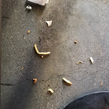 Kyle's Kitchen - What was on the bench is now on the floor - that's how your staff cleans. GROSS! - Salad Near Me - Goleta, California Kyle's Kitchen - What was on the bench is now on the floor - that's how your staff cleans. GROSS! - Salad Near Me - Goleta, California