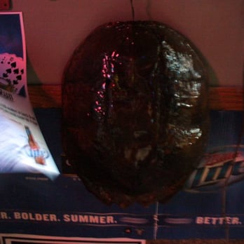 Good Times Saloon - For whatever reason, I was focused on this horseshoe crab shell during my visit. - Sports Bars Near Me - Louisville, Nebraska
