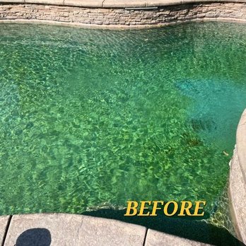 Southern Superior Pool Service - Pool green and unhealthy close-up before Gary - Pool Cleaners Near Me Southern Superior Pool Service - Pool green and unhealthy close-up before Gary - Pool Cleaners Near Me