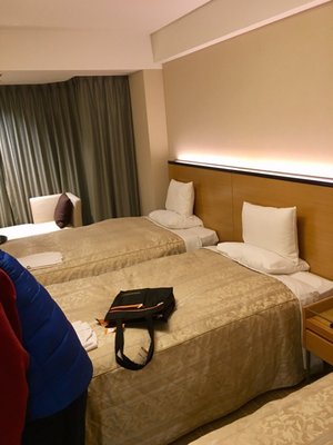 Asakusa View Hotel by null