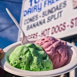 Tom's Dairy Freeze - Two Scoops ($7.95): Mint Chocolate Chip and Dark Cherry