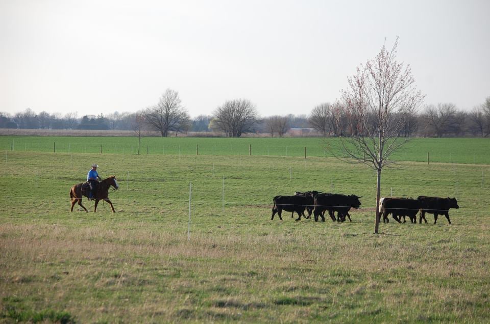 SMITH’S AMERICAN BEEF Updated August 2024 3101 Roth Rd, Oswego