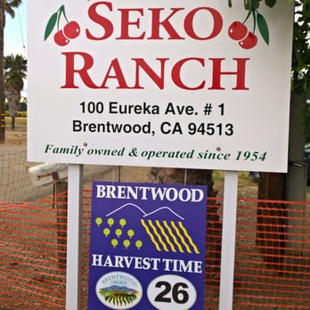 Seko Ranch Cherries - a sign in front of a fence - Fruits & Veggies Near Me - Brentwood, California Seko Ranch Cherries - a sign in front of a fence - Fruits & Veggies Near Me - Brentwood, California