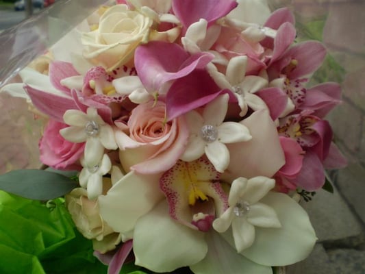 Mood Moss Flowers by null