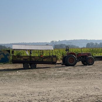 Sidhu Farms - Hay rides - Farmers Market Near Me - Puyallup, Washington