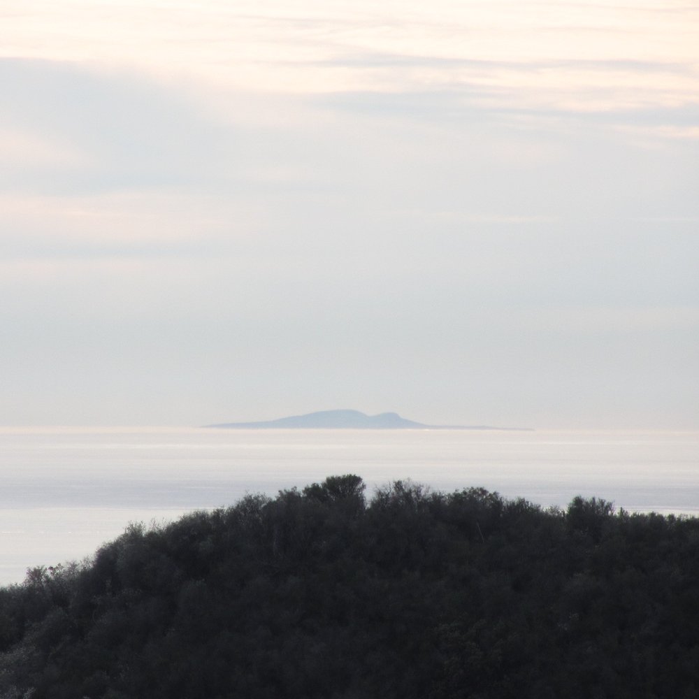 Murphy Ranch Trail - View of the ocean + Catalina island - Hiking Near Me