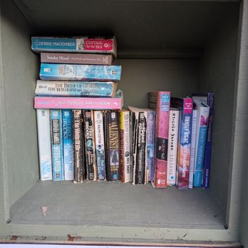Cameron Creek Little Free Library - Cameron Creek Little Free Library, 1018 Cameron Creek Pkwy, Fort Mill - Community Book Box Near Me - Fort Mill, South Carolina Cameron Creek Little Free Library - Cameron Creek Little Free Library, 1018 Cameron Creek Pkwy, Fort Mill - Community Book Box Near Me - Fort Mill, South Carolina