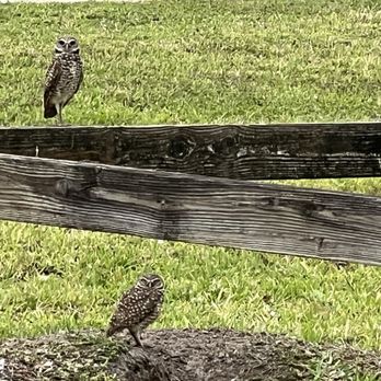 Forest Lake Park - Parks Near Me - Cooper City, Florida Forest Lake Park - Parks Near Me - Cooper City, Florida