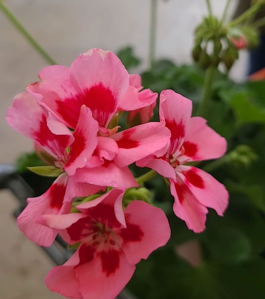 THE HOME DEPOT Updated August 2024 25 Photos & 18 Reviews 1490