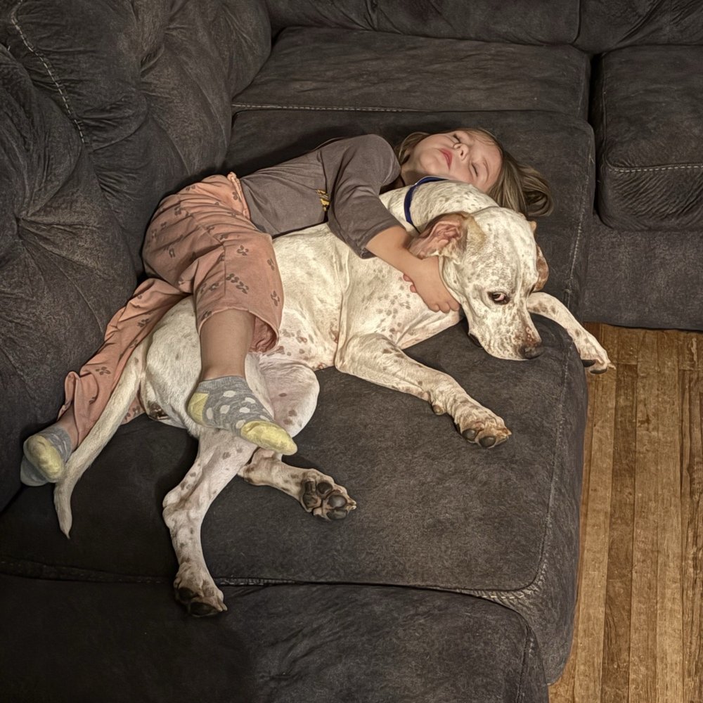 Hackberry Kennels - Pet Breeders Near Me - Shelby, Iowa Hackberry Kennels - Pet Breeders Near Me - Shelby, Iowa