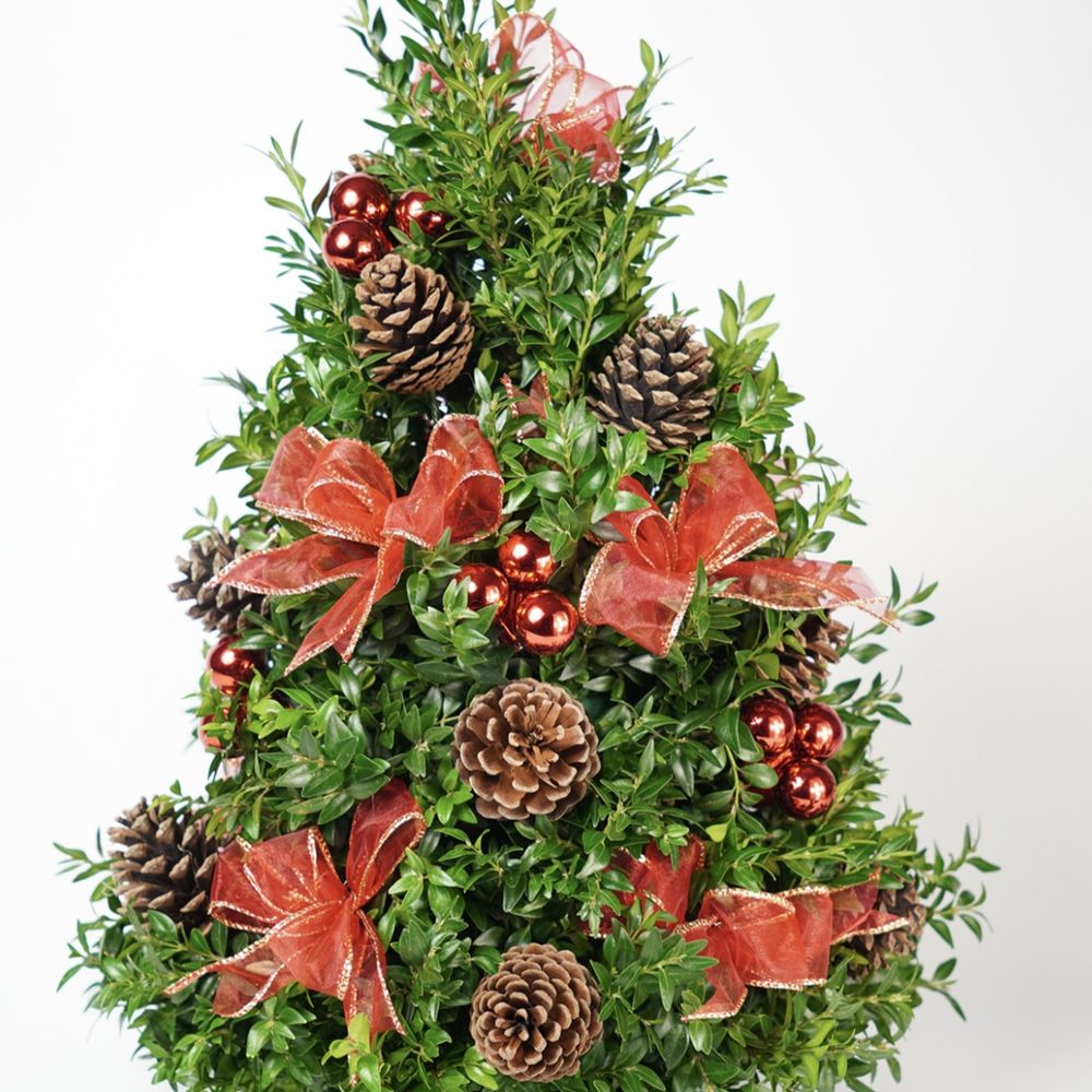 OpenBlooms - Holiday Tree on the website:
https://www.openblooms.com/product/holiday-tree/ - Florists Near Me - Chantilly, Virginia OpenBlooms - Holiday Tree on the website:
https://www.openblooms.com/product/holiday-tree/ - Florists Near Me - Chantilly, Virginia