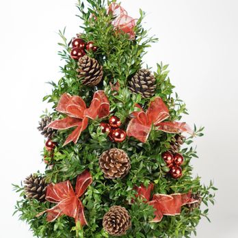 OpenBlooms - Holiday Tree on the website:  https://www.openblooms.com/product/holiday-tree/ - Florists Near Me - Chantilly, Virginia