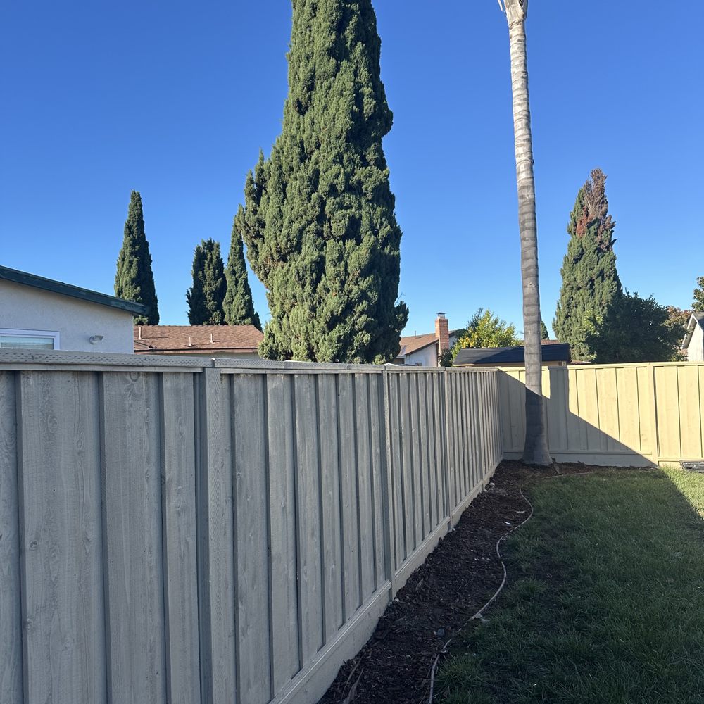 Arandy Painting - Fence 1 - Painters Near Me