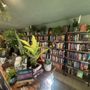 Ferns & Fables