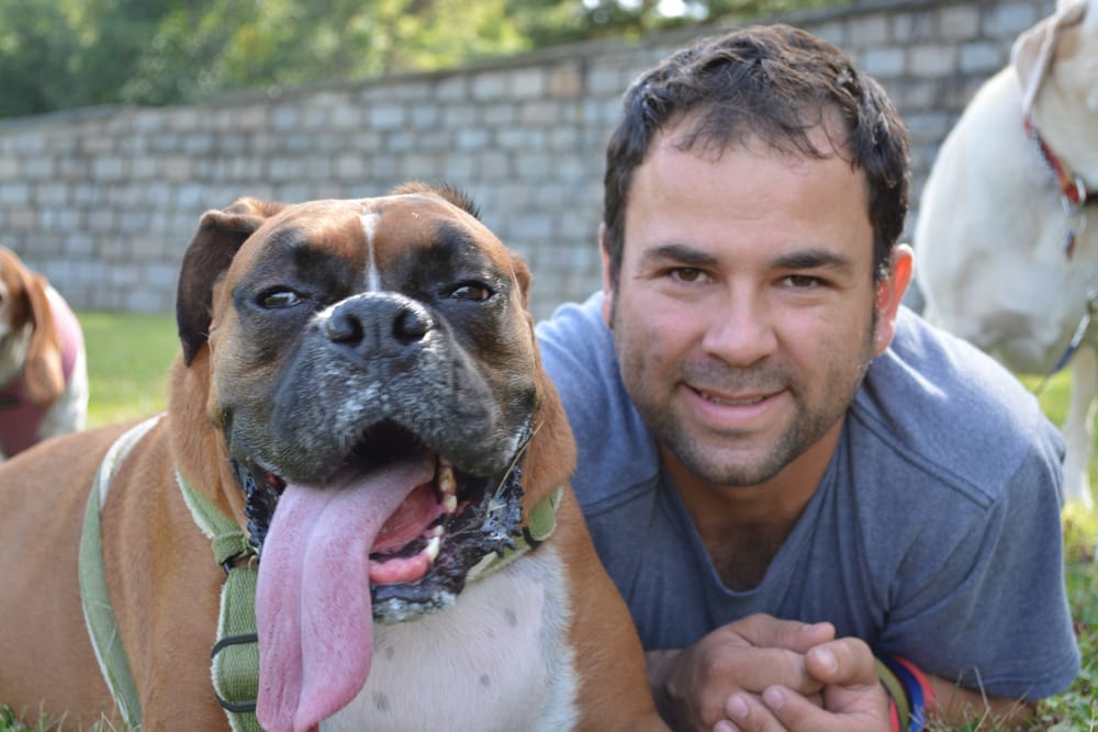 Recommended By You LLC - pet boarding facility in Jersey City, NJ