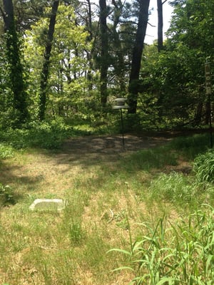 Mass Audubon Wellfleet Bay Wildlife Sanctuary by null