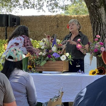 Gravenstein Apple Fair - Festivals Near Me - Sebastopol, California Gravenstein Apple Fair - Festivals Near Me - Sebastopol, California