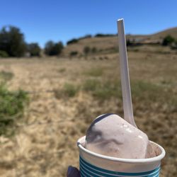Strawberry ice cream.