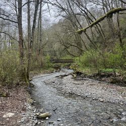 Swan Creek County Park