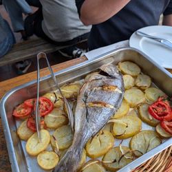 Cap de Creus - Fish of the day with fresh potatoes and tomatoes
