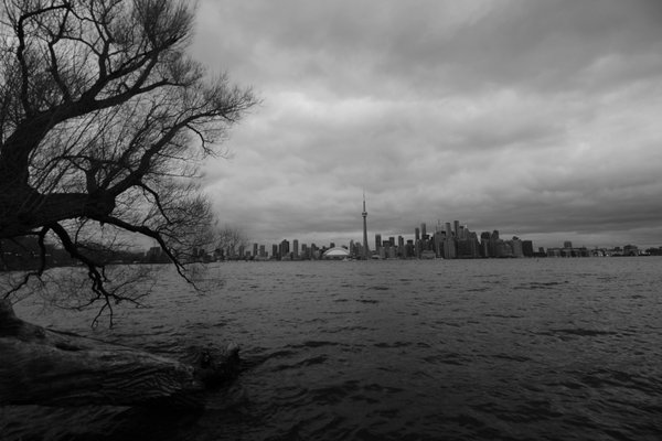 Toronto Island Park Olympic Island by null