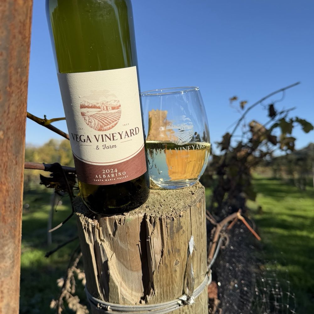 Vega Vineyard and Farm - A little Vino in the Vines! - Wineries Near Me - Buellton, California