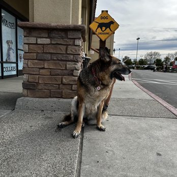 Self Serve Pet Spa - Pet Groomers Near Me - Bakersfield, California