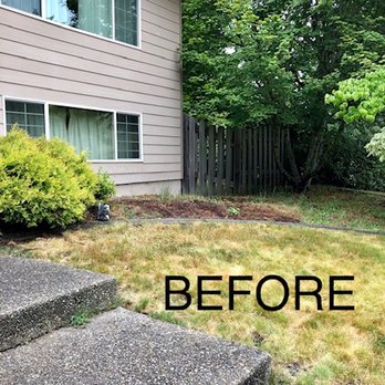 Tony's Landscaping - Right side - before - Tree Services Near Me Tony's Landscaping - Right side - before - Tree Services Near Me